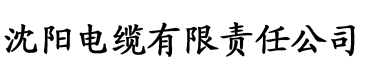 成人播放器下载电缆厂logo